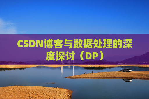 CSDN博客与数据处理的深度探讨（DP）